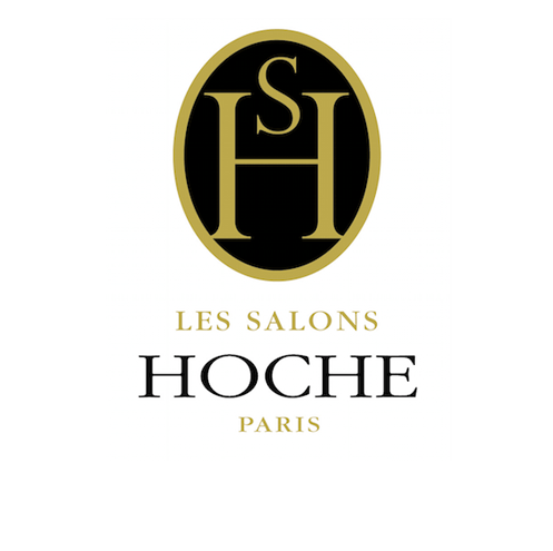 logo salonshoche | DPO Forum,